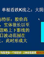 每天学会一种K线-视频在线观看-mtxhyzkx