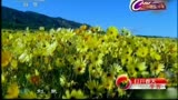 <em>女校长的春天</em>最新【r6t9.com】复制打开_视频