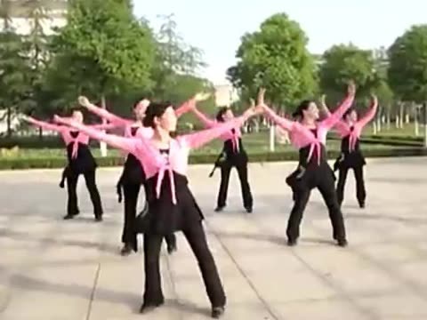 广场舞草原之月分解_草原醉广场舞分解动作_