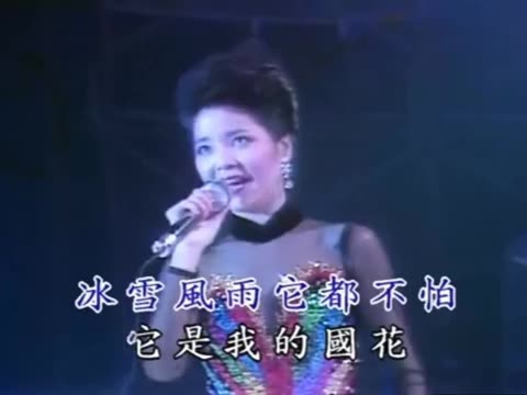 邓丽君歌曲大全梅花 梅花梅花满天 邓丽君 邓丽君唱梅花哭了 邓丽君歌