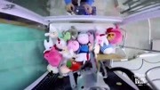 抓娃娃机里放活乌龟